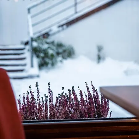 Hotel apartamentowy Flinski Sport & Świeradów-Zdrój