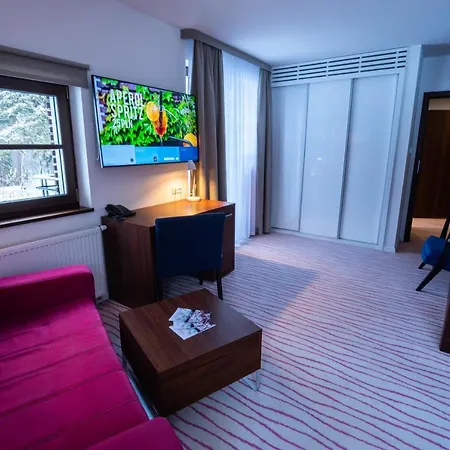 Aparthotel Flinski Sport X Spa Butique X Art Świeradów-Zdrój