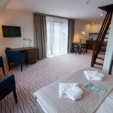 Aparthotel Flinski Sport X Spa, Boutique X Art