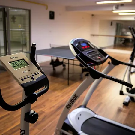 Flinski Sport X Spa, Boutique X Art 4* Świeradów-Zdrój