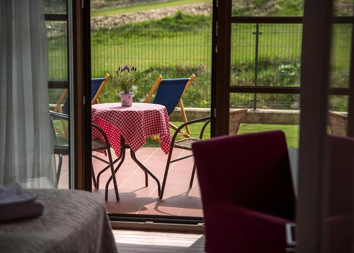 Flinski Sport X Spa, Boutique X Art