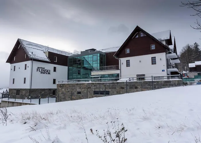 Aparthotel Flinski Sport X Spa, Boutique X Art