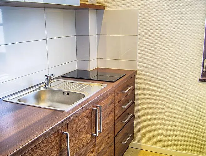 아파트호텔 Flinski Sport X Spa, Boutique X Art 4*