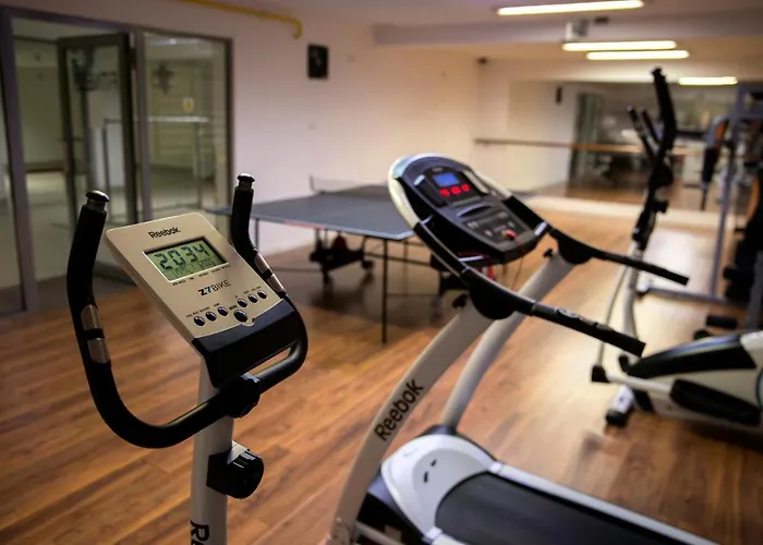 Flinski Sport X Spa, Boutique X Art 4* Swieradow-Zdroj